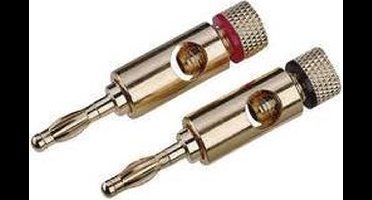 High-End Luidsprekerconnector Stekker, recht Aantal polen: 1 Goud 2 stuk(s)