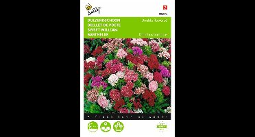 Duizendschoon dubbelbloemig gemengd - Dianthus barbatus