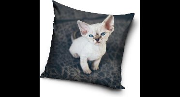 Kat - Sierkussen Kussen 40 x 40 cm inclusief vulling