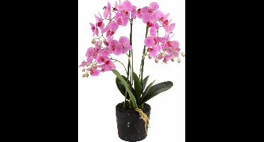 Kunstplant orchidee roze - 5 tak h68.5cm