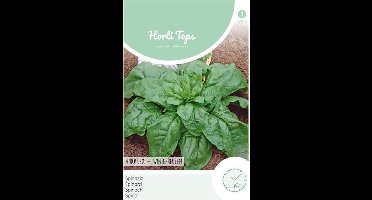 Hortitops Zaden - Spinazie Winterreuzen 15 gram