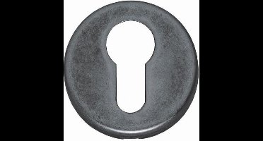 Intersteel Rozet profielcilindergat oud grijs