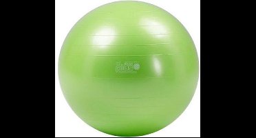 Gymnic Plus bal - Fitnessbal - Ø 75 cm - Groen