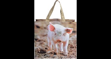 Esschert Design Boodschappentas "Biggetje"