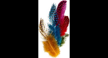 Veren van parelhoen, diverse kleuren, 3gr/ 1 doos