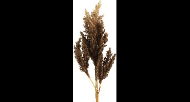 Decoratie takken - kunststof -  Astilbe - Bruin - 81cm