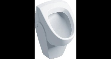Geberit 300 urinoir 40 met achterinlaat 36x37cm wit