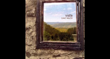 David Wilcox - Vista