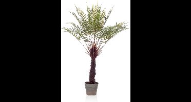 Kunstplant Boomvaren