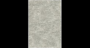 Rugsman Camel Vloerkleed - 240 x 340 cm - Grijs - Rechthoekig, Rond - Polypropylene - Woonkamer - Gespikkeld - Shaggy - Hoogpolig, Landelijk, Modern