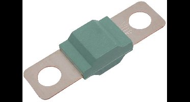 TRU COMPONENTS TC-13545876 Zekering 40 A 80 V/DC Inhoud 10 stuk(s) Bulk