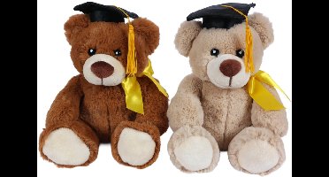 PIA Soft Toys - Set van 2 Pluche Afstudeer beren Knuffels - 2 ass. - 20 cm