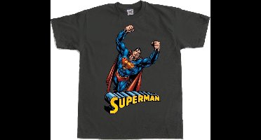DC Comics Superman Heren Tshirt -XL- Flying Grijs