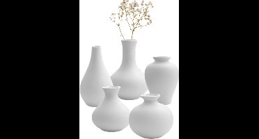 House of Husk Keramieke Vazen Set Klein - 5 Stuks - Bloemenvaas - Mini Bolvaasjes - Decoratieve Woonaccessoires - Wit