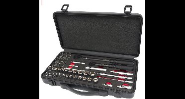 HBM momentsleutel set 55-delig 1/4 en 3/8 inch 1-5 en 10-60 Nm