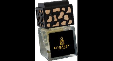 Elluxuryparfum – Autoparfum Aventus for her – Luxe Geurhanger – Autogeur – Langdurige Geur (5 weken)