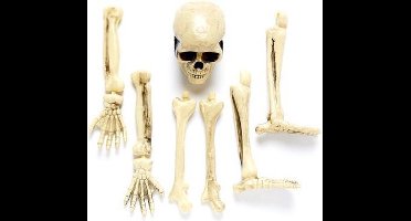 Complete horror tuin decoratie set kerkhof met botten/skelet - Halloween feest decoratie