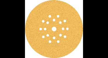 Bosch EXPERT C470 - Schuurpapier - 225mm - P100 - Met gaten