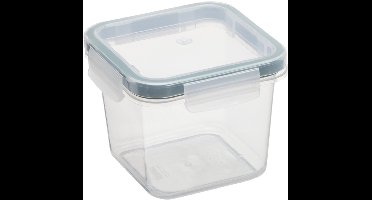 Plastic bewaardoos Amsterdam, 2,5 liter, groen.