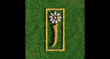 James - Nothing But Love: The Definitive Best Of James (2 LP)