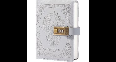 DailySupplies® Dagboek met Slot Volwassenen - Notitieboek - Grijs