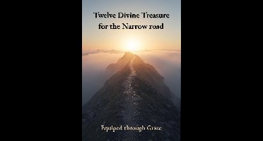 Twelve divine Treasure 1 - Twelve Divine Treasures for the Narrow road: Book 1