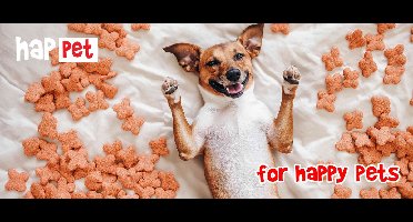 Happet - A Leash / Classic Red - Happet Se14 - 2,5cm - Z-se14jp - 1st