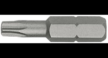 Ivana torx bit T10