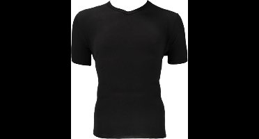 Apollo Heren T-shirt Bamboo Basic V-hals Zwart S 2 stuks