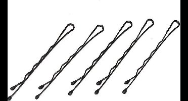 Haarspelden - Hobbypins - Haaraccessoires - Haar spelt -  Spelt - Spelden - Haarschuifjes - Barettes - Haarspangen  60 stuks