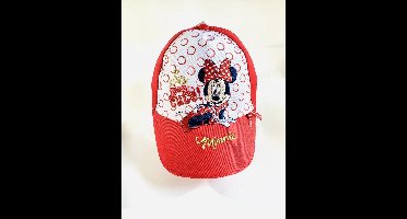 Minnie Mouse cap rood 52cm 2-5 jaar
