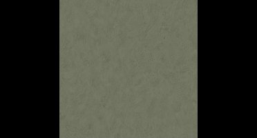 Kalk II uni grijsbeige 61044