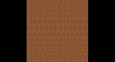 Odyssee uni roodbruin L953-05