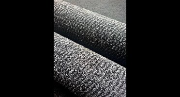 Schoonloopmat Lau _ deurmat Spectrum 120x180 cm