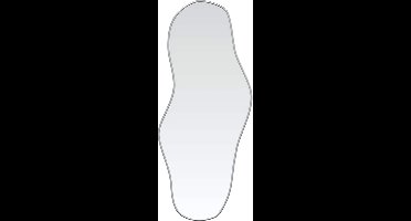 vidaXL - Wandspiegel - 60x25 - cm - zilverkleurig