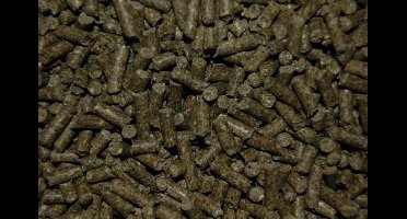 Wielink Cavia Supervit korrel 20 kg