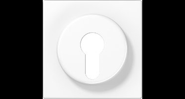 LS928WW Abdeckung für Schlüsselschalter