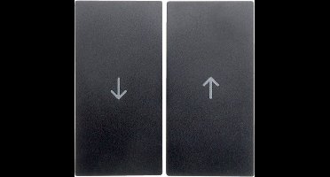 Hager Berker S.1/B.3/B.7 Schakelelement/Centrale Plaat - 16251606 - E2FE8