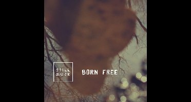 Born Free (CD)