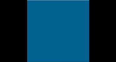 PROline-paint antislipverf - 5 liter Blauw