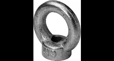 Oogmoer M12 - Hijsoog - DIN 582