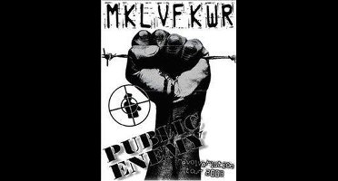 Public Enemy - Revolverlution Tour 2003 (DVD)