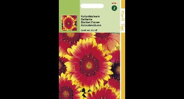Kokardebloem Bloemzaaad - Gaillardia Aristata