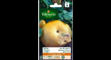 Pompoen Gele Reuzen van Parijs