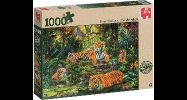 Tiger Family At The Waterhole