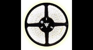 5 meter koud wit led strip - 30Leds/m - 12V