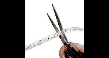 5 meter RGBW (Koud wit) led strip - 60Leds/m - 12