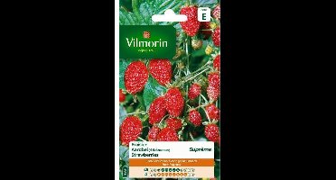 Aardbei 4 seizoenen suprème