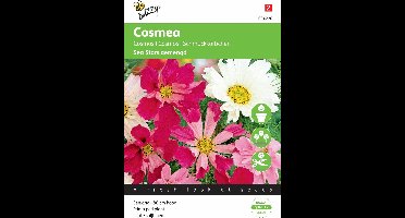 Buzzy® Cosmos bipinnatus Sea Stars gemengd