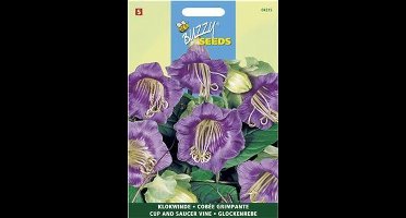 Buzzy - Klokwinde Violetblauw (Cobaea scandens)